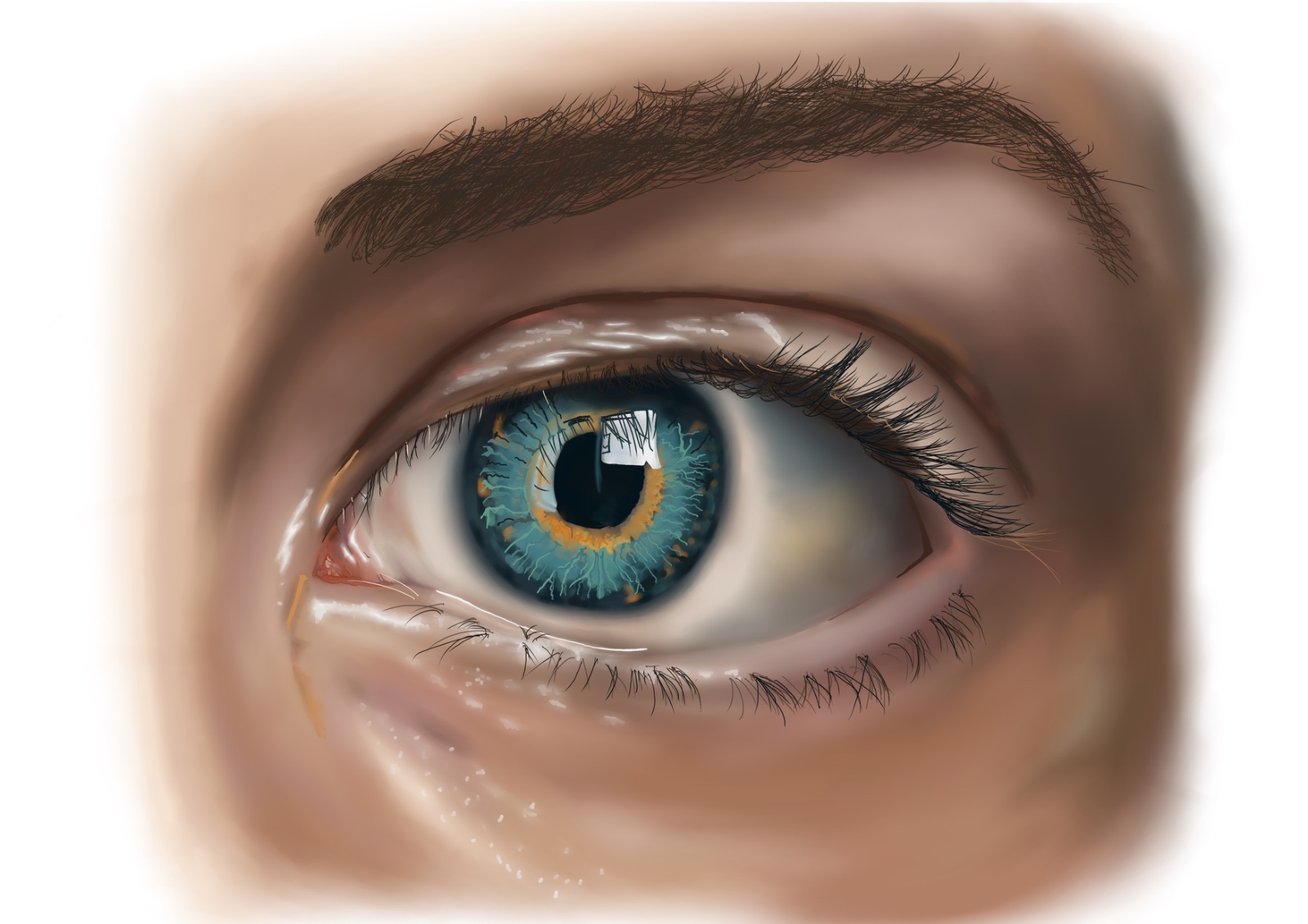 Project Image 5