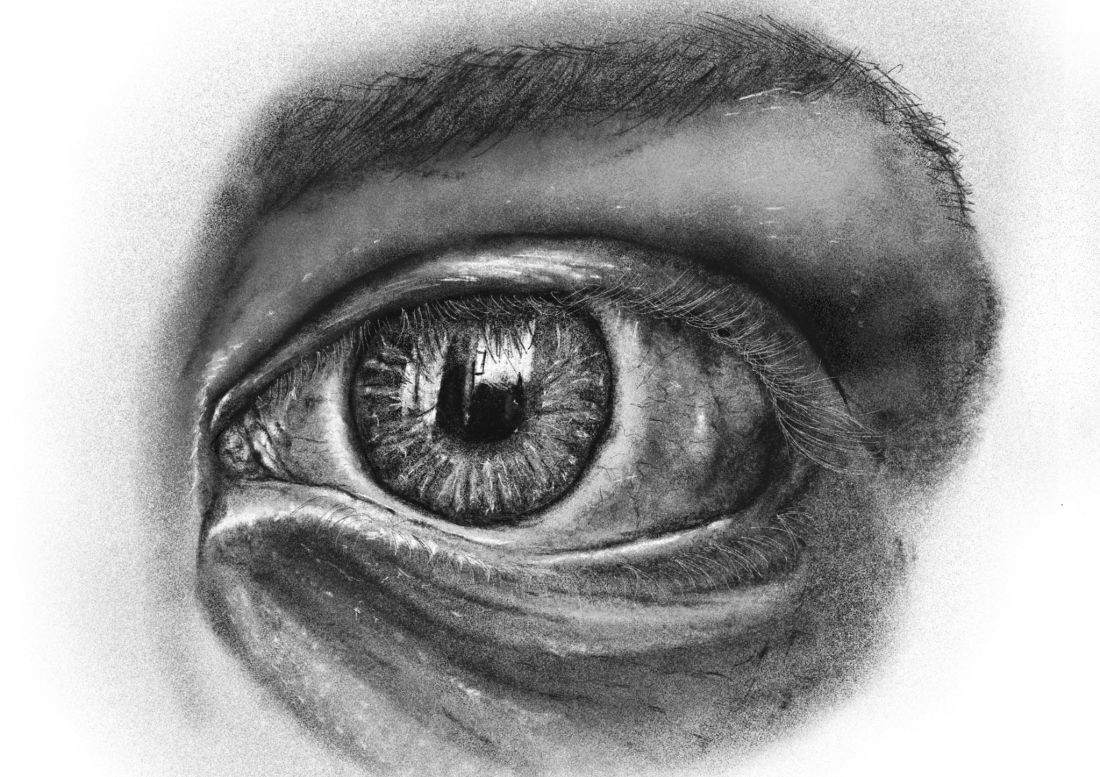 Project Image 6